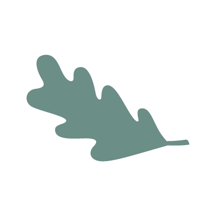 oakleaf1@0.5x