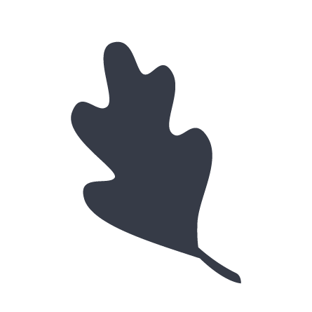 oakleaf2@0.5x